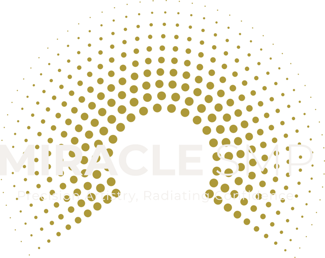 Miracle SMP